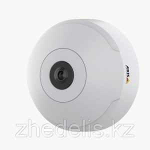 AXIS M3067-P