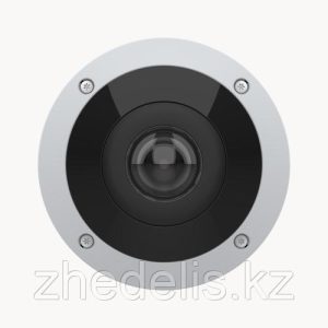 Панорамная камера AXIS M4317-PLVE