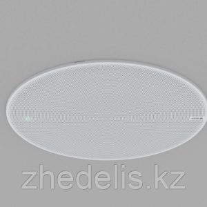 Сетевой динамик AXIS C1210-E